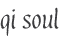 qi soul - Botschaften für die Seele